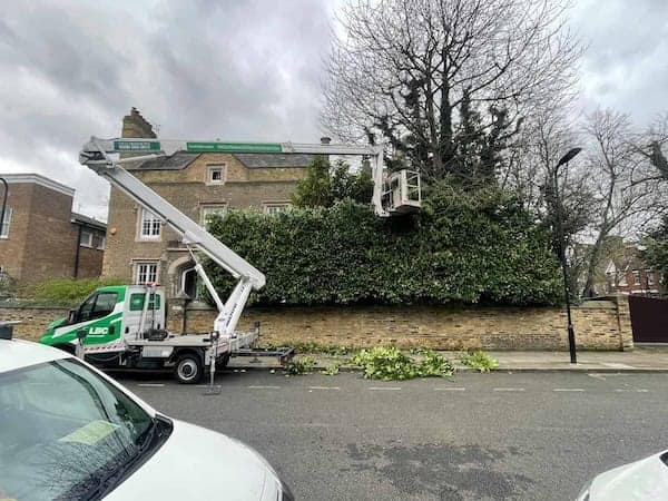 a tree trimming machine on a street
